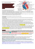 NR 341 Critical care exam 2 personal notes 