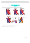 NURS 2214 Final exam review 2021 edition