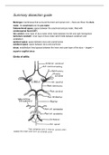 College aantekeningen MN: Basics And Anatomy 