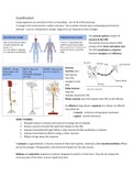 IGCSE: Biology- Coordination