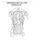 Sudy material for the Anatomy of the Abdomen, Pelvis and Perineum (Male and Female)