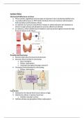 Patho module 11 musculoskeletal Questions (All correct answers, Already graded A+)  Exam 2024/2025 Chamberlain College of Nursing NR 507 - Advanced Pathophysiology 