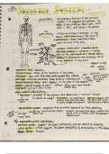 Anatomy and Human Science