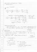 Biologie samenvatting geslachtsorganen (mitose/ meiose) en erfelijkheid