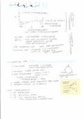 Biologie vwo DNA/eiwit samenvatting