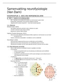 Samenvatting deel neurofysiologie (deel Van Dam)