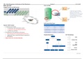 ESCP Business School: Introduction to Information Systems, Class notes (incl. Case Study & Solution)