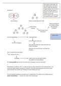 samenvatting scheikunde hoofdstuk 5 havo 4