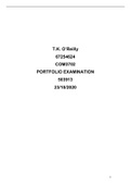 COM3702_ PORTFOLIO EXAMINATION 2020.