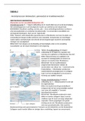 Samenvatting Thema 3: spier- en peesletsel - Jaar 1 Fysiotherapie