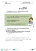 sistema endocrino