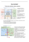 Samenvatting Celfysiologie