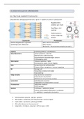 samenvatting moleculaire genetica 