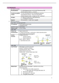 samenvatting microbiologie 