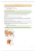 Samenvatting diagnostiek gehoor 1