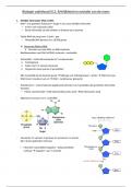 Biologie vakinhoud III.2: Evolutie en erfelijkheid