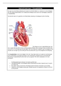 Samenvatting  les Ziekenhuis uitwerking Tricuspidalisklep