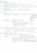 Samenvatting als inhoudstafel van de cursus ondernemingsrecht - handelsrecht 2019-2020