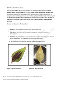 BIO 171 L 6 Photosynthesis. complete exam solution 