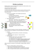 Resumen Genética  Biology and Geology