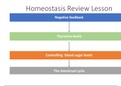 Negative Feedback and Homeostasis