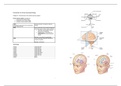 Introduction to clinical neuropsychology 