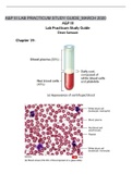 A&P III Lab Practicum Study Guide_March 2020