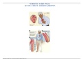 NURSING CARE PLAN ACUTE CHEST ATEROCLEROSIS