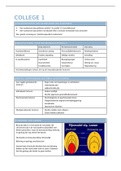 Samenvatting fysiotherapie theorie blok 2.1 Orthopedie (compleet) 