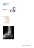 Samenvatting  Anatomie 2 (Anatomie2)