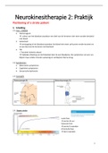 Samenvatting  Neurokinesitherapie 2: Praktijk 