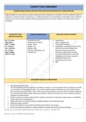 Rashid Ahmed Vsim Complete Concept Map Worksheet