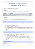 BIOS252 Week 6 Lab: General and Special Senses Part A: Lab Manual Exercises 23 – General Sense Part B: Lab Manual Exercises 24 – Special Senses BIOS_252 Week 6 Discussions