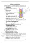 Apuntes Anatomía II Bloque 1 Generalidades