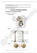 Apuntes Anatomía II Bloque 3 Extremidad inferior