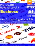 2022 BTEC Business Level 3 - DISTINCTION* Unit 1 Learning aim A & B VW & AMNESTY