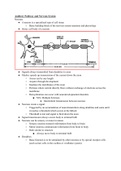 Test 5 Notes