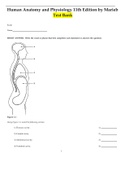 Human Anatomy and Physiology 11th Edition by Marieb Test Bank