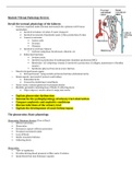 NRSG 2312 Pathophysiology  Module 9 and 10 Review for Finals