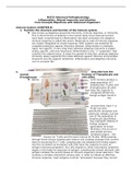 NUR N5315 Inflammation and Altered Immunity Core Knowledge Study Objectives with Advanced Organizers