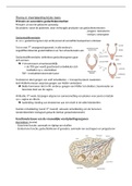 Biogenie 6.2-Thema 4: voortplanting van de mens