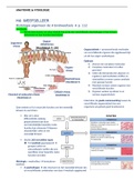 Samenvatting weefselleer Anatomie & Fysiologie 1