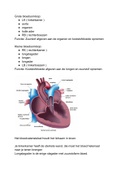 Samenvatting Biologie Grote & Kleine bloedsomloop, Bloedgroepen, Bloedsamenstellingen, hart 