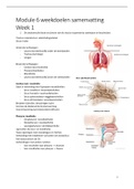 Verloskunde Module 6 samenvatting weekdoelen