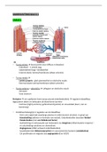 Samenvatting blok 2.1 - Circulatie en Ademhaling