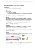 Samenvatting Memo: geschiedenis voor de onderbouw: 2 VWO handboek paragraaf 1.2 t/m 1.6 + spoedcursus middeleeuwen