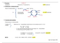 Schema celademhaling, zeer overzichtelijk & beknopt!