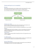 Samenvatting Hoorcollege Cel en de Weefsels, Periode 1 De Huid, Leerjaar 1