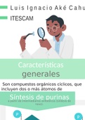 Infografía sobre la biosíntesis de  purinas y pirimidinas