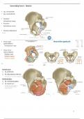 Samenvatting thema 1 - Obstetrie.